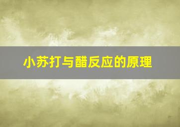 小苏打与醋反应的原理