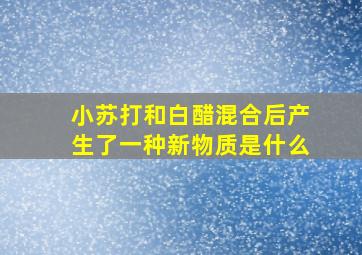 小苏打和白醋混合后产生了一种新物质是什么