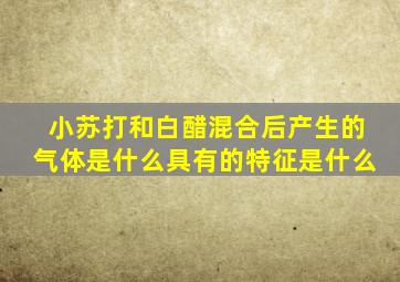 小苏打和白醋混合后产生的气体是什么具有的特征是什么