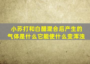 小苏打和白醋混合后产生的气体是什么它能使什么变浑浊