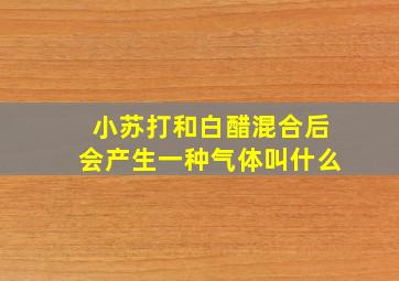 小苏打和白醋混合后会产生一种气体叫什么