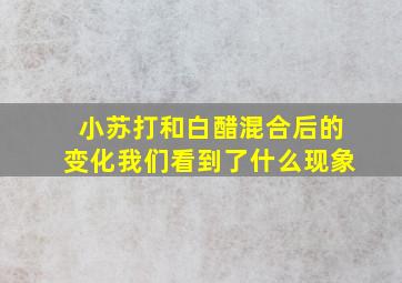 小苏打和白醋混合后的变化我们看到了什么现象