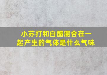 小苏打和白醋混合在一起产生的气体是什么气味