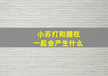 小苏打和醋在一起会产生什么