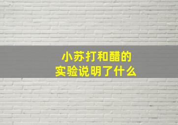 小苏打和醋的实验说明了什么