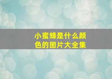 小蜜蜂是什么颜色的图片大全集