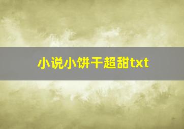 小说小饼干超甜txt