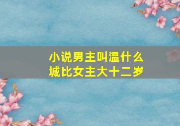 小说男主叫温什么城比女主大十二岁