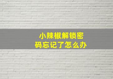 小辣椒解锁密码忘记了怎么办