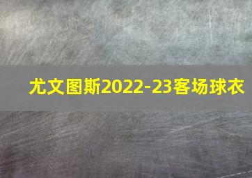 尤文图斯2022-23客场球衣