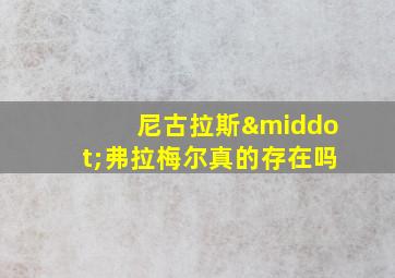 尼古拉斯·弗拉梅尔真的存在吗