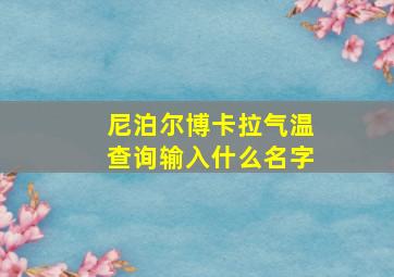 尼泊尔博卡拉气温查询输入什么名字