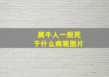 属牛人一般死于什么病呢图片