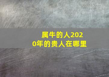 属牛的人2020年的贵人在哪里