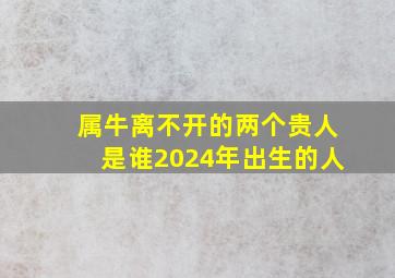 属牛离不开的两个贵人是谁2024年出生的人