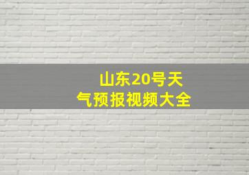 山东20号天气预报视频大全