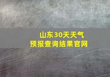 山东30天天气预报查询结果官网