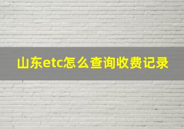 山东etc怎么查询收费记录