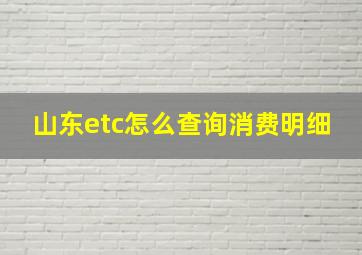 山东etc怎么查询消费明细