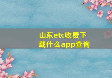 山东etc收费下载什么app查询