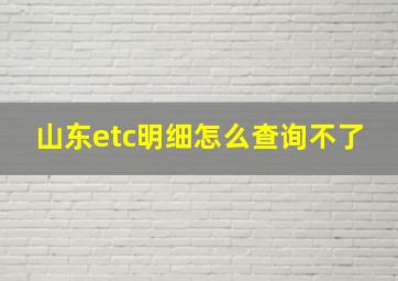 山东etc明细怎么查询不了