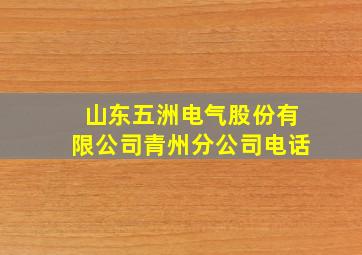 山东五洲电气股份有限公司青州分公司电话