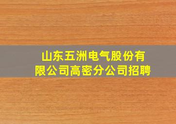 山东五洲电气股份有限公司高密分公司招聘