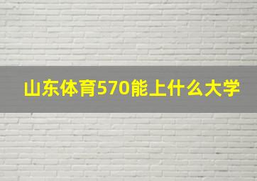 山东体育570能上什么大学