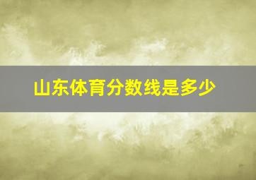 山东体育分数线是多少