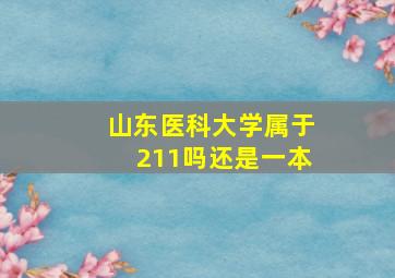 山东医科大学属于211吗还是一本