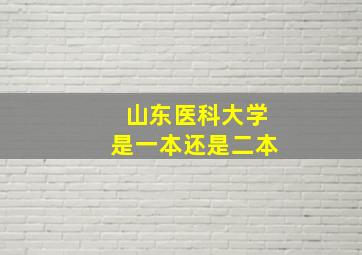 山东医科大学是一本还是二本