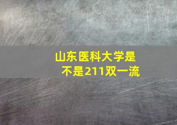 山东医科大学是不是211双一流