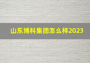 山东博科集团怎么样2023