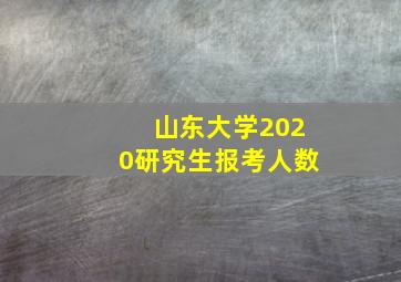 山东大学2020研究生报考人数