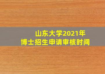 山东大学2021年博士招生申请审核时间