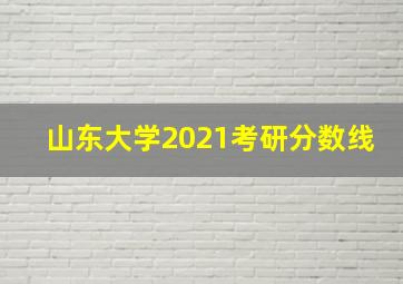 山东大学2021考研分数线