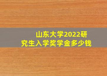 山东大学2022研究生入学奖学金多少钱