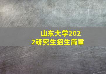 山东大学2022研究生招生简章