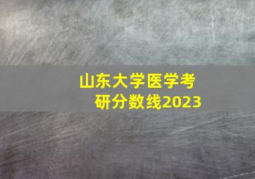 山东大学医学考研分数线2023