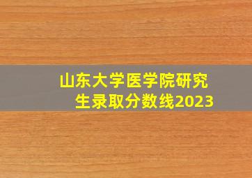 山东大学医学院研究生录取分数线2023