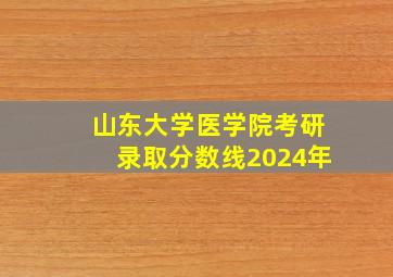 山东大学医学院考研录取分数线2024年