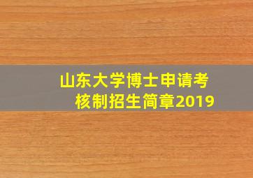 山东大学博士申请考核制招生简章2019