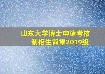 山东大学博士申请考核制招生简章2019级