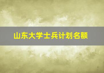 山东大学士兵计划名额