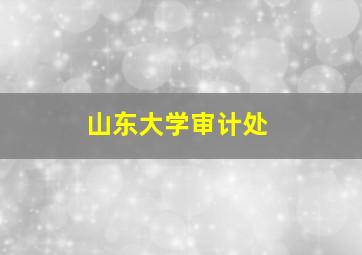 山东大学审计处