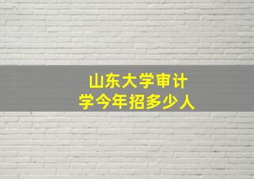 山东大学审计学今年招多少人