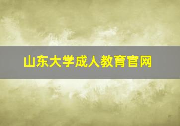 山东大学成人教育官网