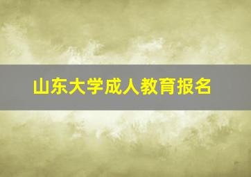 山东大学成人教育报名