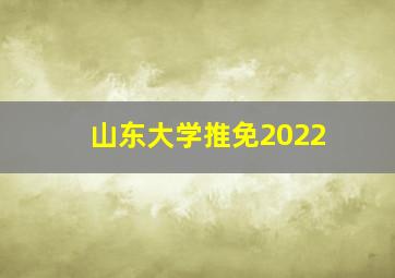 山东大学推免2022