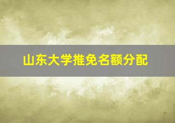 山东大学推免名额分配